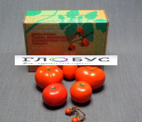 Муляжи Дикая форма и культурные сорта томатов - «globural.ru» - Можайск