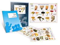 Комплект транспарантов «Грибы» - «globural.ru» - Можайск