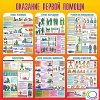 Стенд "Оказание первой помощи" - «globural.ru» - Можайск