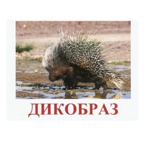 Карточки Домана "Дикие животные-3" - «globural.ru» - Можайск