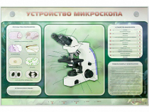 Электрифицированный стенд "Устройство микроскопа и правила работы c ним" - «globural.ru» - Можайск