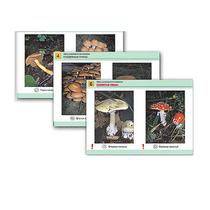 Комплект таблиц раздаточных "Грибы съедобные и несъедобные" - «globural.ru» - Можайск