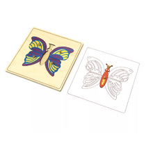 Строение бабочки с контуром. - «globural.ru» - Можайск