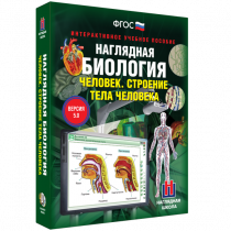 Наглядная биология. Человек. Строение тела человека - «globural.ru» - Можайск