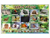 Комплект оборудования "Живой уголок" (животные) - «globural.ru» - Можайск