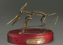Модель скелета птерозавра Pteranodon - «globural.ru» - Можайск