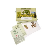 Гербарий "Для начальной школы" (30 видов, с иллюстрациями) - «globural.ru» - Можайск