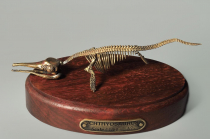Модель скелета ихтиозавра Ichthyosaurus - «globural.ru» - Можайск