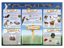 Стенд-уголок "Друзья наши меньшие" - «globural.ru» - Можайск