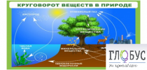 Стенд "Круговорот веществ" - «globural.ru» - Можайск