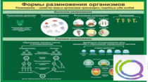 Стенд "Формы размножения организмов" - «globural.ru» - Можайск