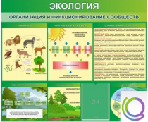 Стенд "Экология. Организация и функционирование сообществ" - «globural.ru» - Можайск