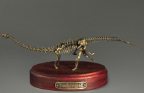 Модель скелета динозавра Diplodocus (вариант 1) - «globural.ru» - Можайск