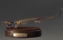 Модель скелета мозазавра Mosasaurus - «globural.ru» - Можайск