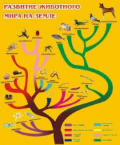 Стенд "Развитие животного мира на земле" - «globural.ru» - Можайск
