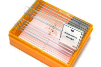 Набор микропрепаратов N10 - «globural.ru» - Можайск