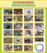 Стенд "Красная книга - млекопитающие" - «globural.ru» - Можайск