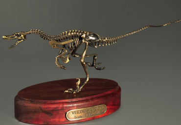 Модель скелета динозавра Velociraptor - «globural.ru» - Можайск