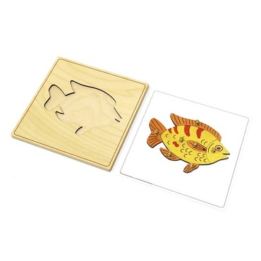 Строение рыбки с контуром - «globural.ru» - Можайск