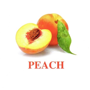 "Fruit" ("Фрукты") английские карточки Домана - «globural.ru» - Можайск
