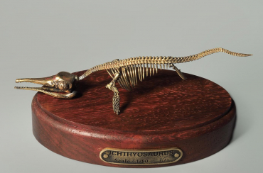 Модель скелета ихтиозавра Ichthyosaurus - «globural.ru» - Можайск