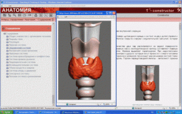 Анатомия онлайн. Школьный атлас - «globural.ru» - Можайск