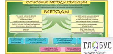 Стенд "Методы селекции и биотехнологии" - «globural.ru» - Можайск