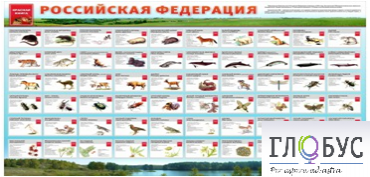Стенд "Красная книга РФ" - «globural.ru» - Можайск