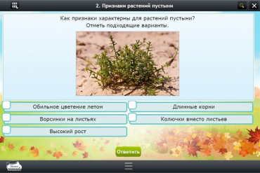 Интерактивные курсы. Окружающий мир 3 класс. Базовый - «globural.ru» - Можайск