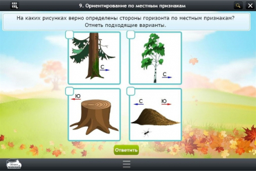 Интерактивные курсы. Окружающий мир 1 класс. Базовый - «globural.ru» - Можайск