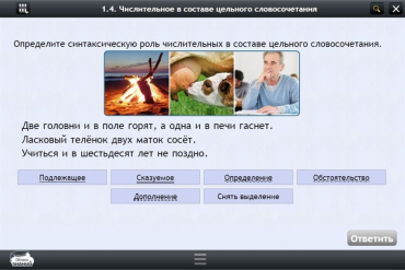 Интерактивные курсы. Русский язык 6 класс. Базовый - «globural.ru» - Можайск