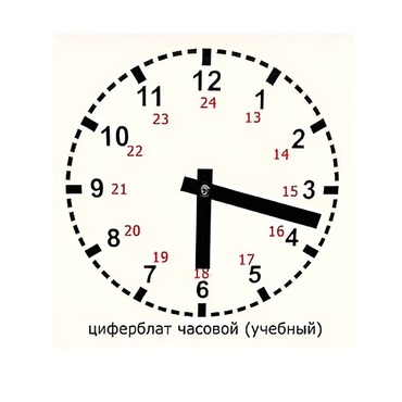Часовой циферблат раздаточный - «globural.ru» - Можайск