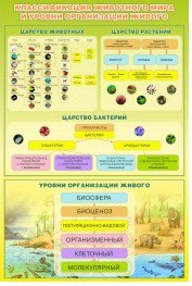 Стенд "Классификация животного мира" - «globural.ru» - Можайск